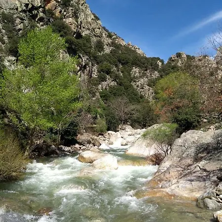 Les Violettes Mons (Herault)
