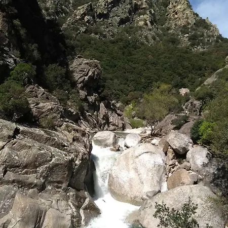 Les Violettes Mons (Herault)